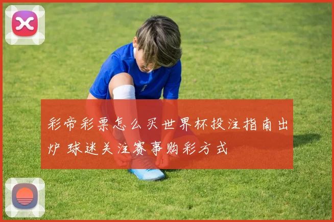 彩帝彩票怎么买世界杯投注指南出炉 球迷关注赛事购彩方式